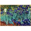 Image 1 : Irises, Saint-Remy, c.1889 Framed Canvas Print