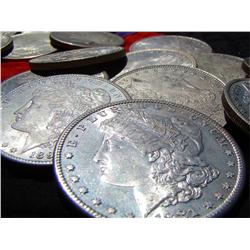 Lot of 16 Morgan Silver Dollars