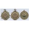 Image 1 : Canadian Air Force Athletic Gold Medals Awarded to H.A. Gill