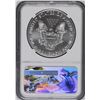 Image 2 : 2017 USA Silver Eagle - First Day of Issue