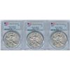 Image 1 : 2018 USA Silver Eagle - First Day of Issue - Lot of 3