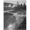 Image 1 : Adams - Central Geyser Basin, Yellowstone National Park, Wyoming