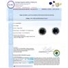 Image 3 : 3.21 ctw Round Black Diamonds and 0.39 ctw White Diamond Halo Stud Earrings