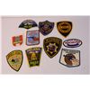 Image 2 : Lot of Various Vintage Patches - Police, Rifle