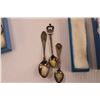 Image 4 : (14) Souvenir Spoons