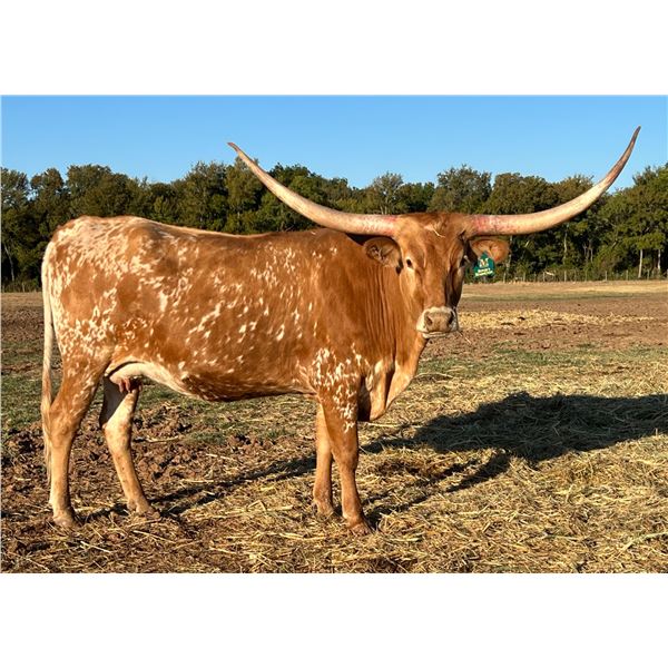 DH Rowdy's Remington