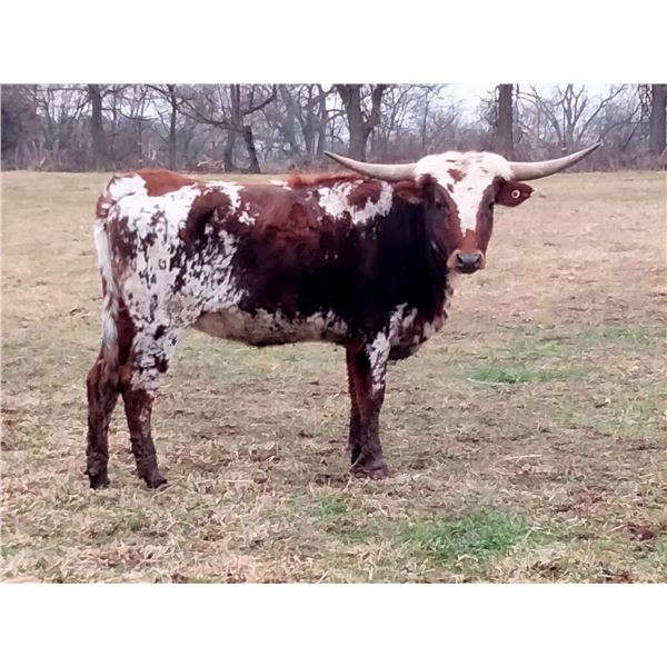 Hubbell's Sweet As Sugar 110