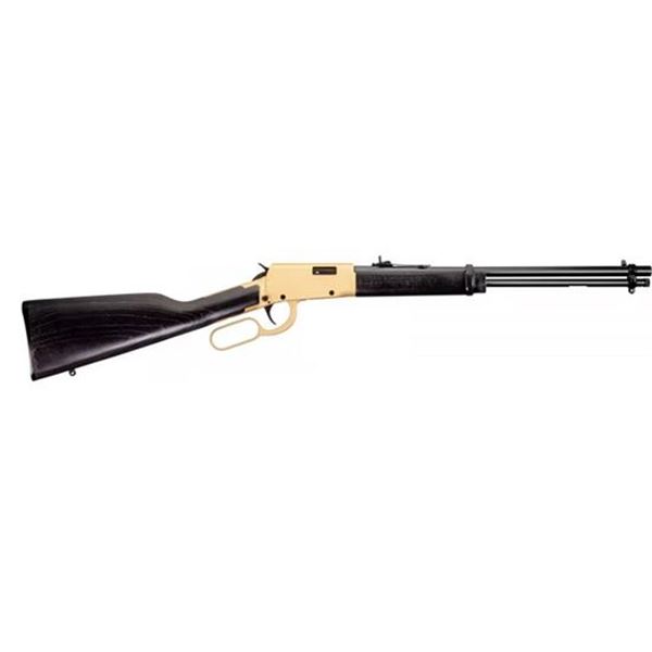 ROSSI RIO BRAVO 22LR 18  GOLD RECEIVER WOOD 15RD