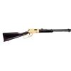 Image 1 : ROSSI RIO BRAVO 22LR 18" GOLD RECEIVER WOOD 15RD