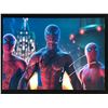 Image 1 : TOM HOLLAND/TOBEY MAGUIRE SIGNED SPIDER-MAN 8 X 10 (RA COA)