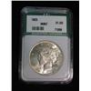 260. 1923 P Peace Dollar ANI Slabbed MS 67. 