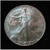 1336. 2004 American Eagle Silver Dollar. BU.