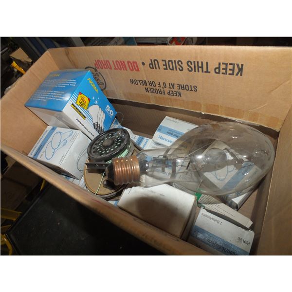 Assorted Light Bulbs