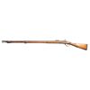 Image 2 : AUSTRIAN PERCUSSION MUSKET.