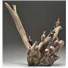 Image 1 : DESERT IRON WOOD SCUPLTURE W/ SMALL QUAILS