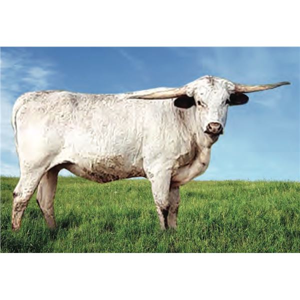 Sweetheart Cracker HCL