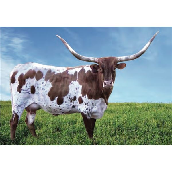 DH ROWDY'S RED RIVER