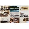 Image 2 : Alaska 30 Postcards
