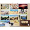 Image 8 : California 500+ Cards