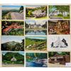 Image 8 : North Carolina 475+ Postcards