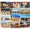 Image 2 : 2 Boxes of Continental Postcards 1300+