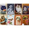 Image 2 : Animal - Cats & Kittens Album 40+ Cards
