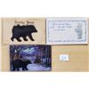 Image 2 : Animal - Bears Novelty 10 Postcards Leather & Fur