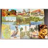 Image 1 : Florida 500+ Postcards