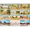 Image 2 : Florida 500+ Postcards