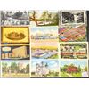Image 8 : Minnesota 250+ Postcards