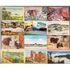 Image 3 : Tennessee 200+ Postcards