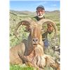 Image 2 : WILDLIFE SYSTEMS: 3 1/2-Day/4-Night Aoudad Hunt for One Hunter and One Non-Hunter in West Texas - In
