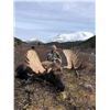 Image 2 : GUNDAHOO: 10-Day Moose Hunt for One Hunter in British Columbia, Canada - Includes Trophy Fe