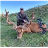 Image 2 : DICKIE MILES: 10-Day Big Game Hunt and Cast & Blast Adventure for Two Hunters in Argentina - Include