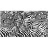 Image 2 : JOSHUA SPIES: "Stripes" - Original Charcoal Drawing by Joshua Spies