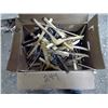 Image 1 : Box of wooden hangers