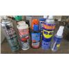 Image 3 : box of tire cleaner, headlight cleaner, auto polish, etc.