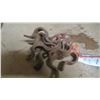 Image 1 : 10X 1 1/4" pipe holders