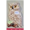 Image 5 : 2 Wall Owls from Melfort, SL - Gunter & Belliveau