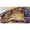 Image 3 : Pair of Torpedo Snow Shoes 36 inch with Leather Harnesses, Made in Quebec