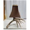 Image 1 : Deer antler shed lamp - working