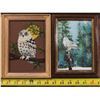 Image 3 : Lot of Owl Pictures with frames