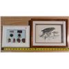 Image 1 : Framed Canadian Western Agribition Pins & 13"x10" Dimensional Paper Picture hawk with frame