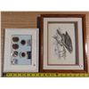 Image 4 : Framed Canadian Western Agribition Pins & 13"x10" Dimensional Paper Picture hawk with frame
