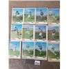 Image 3 : Lot of 12 Saskatchewan RoughRiders circa 1970 inc Ron Lancaster