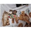 Image 3 : Cats and Dogs Patches