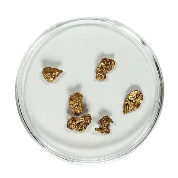 Gold Nuggets 2.30 Grams Total Weight
