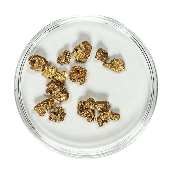 Gold Nuggets 4.00 Grams Total Weight