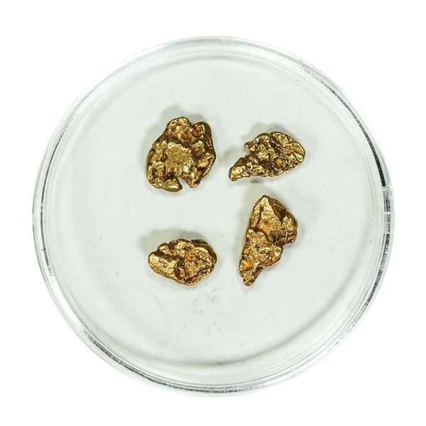 Lot of Gold Nuggets 3.2 grams Total Weight