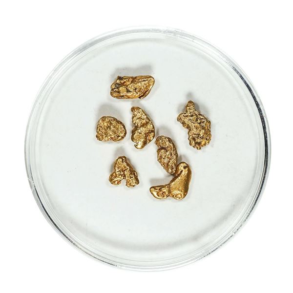Gold Nuggets 2.76 Grams Total Weight
